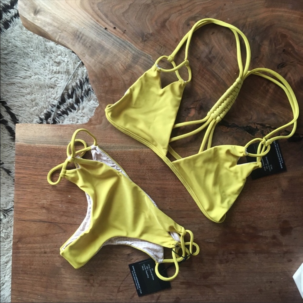 Acacia bikini